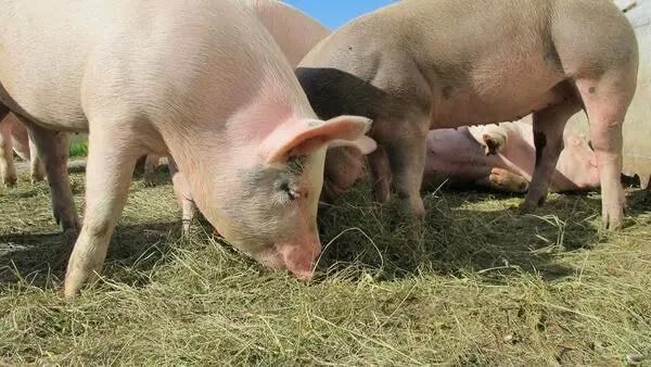 15 ������ ����������� ���� ������ ����� � �������