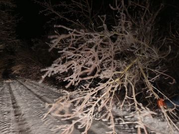 ��������� �����: ������ ����������� �� ������� ��������