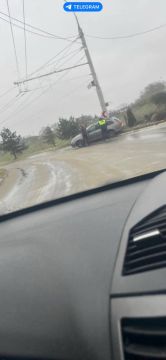 � �������� � �������� ������ ������� �� �������