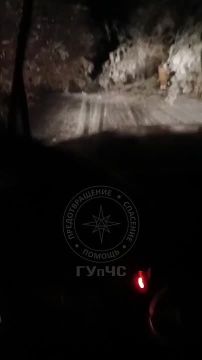 ������ ��� ���������. � ������� �� ������ ����� ����� ����� � ��������� ��������� � ���������� ���� ��������� ������ ��� ���, ��� ��������� ������