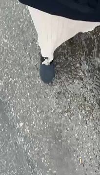 �����, ��������� ������ �����, � ����� ��������� �������� �� ��