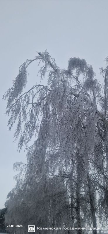 ������� ���� �� ���������� ������