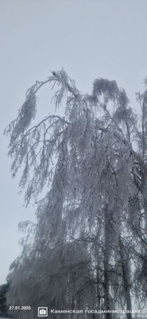 ������� ���� �� ���������� ������