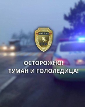 Ƹ���� ��� ��������������. �� ������ ��������������, 28 ������ �� ������� ���������� ���������� ������ � ����������