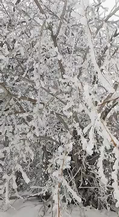 � ������� ������� �������� ����������