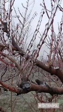 ���������� ��� � ��������� ������ �������� ���