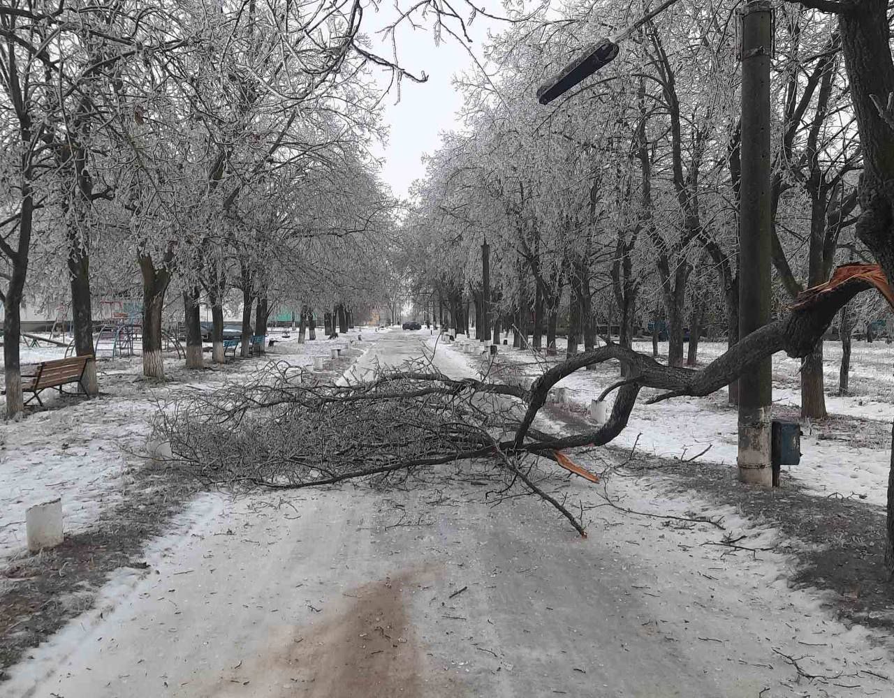 пгт.Маяк: Из-за гололёда, деревья местами продолжают падать на проезжие части, будьте внимательны и осторожны