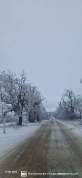Лёд на ветвях, наледь под ногами, обледенелые дороги — звенящая и немного пугающая красота этой зимы