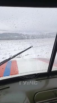 Вот так рыбницкие спасатели, вооружившись бензопилами, пробивались сегодня со специалистами электросетей к местам обрыва ЛЭП