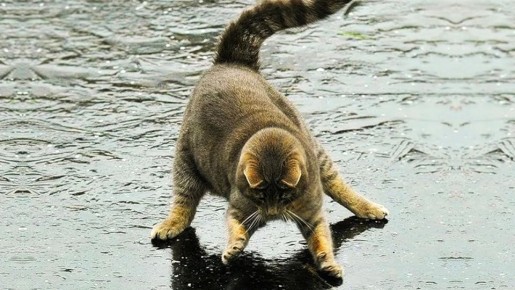 Гололёд: меры безопасности