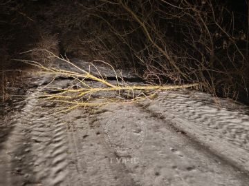 Сегодня ночью в Рыбницком районе сотрудники АСП работали на автодороге между сёлами Большой Молокиш и Красненькое