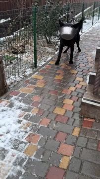 ��� ��������, ��� ������, ��� ������