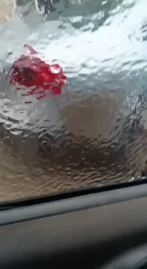 Два ряда стекол, обеспечила нам матушка природа