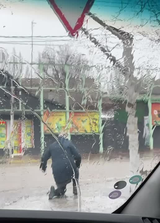 ���������� �������� ���� ������� � �����