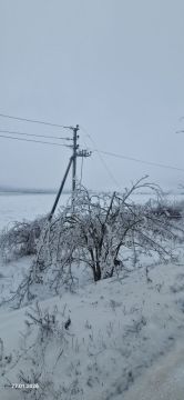 ��������� ���������� ������� �������� � ��������� ������: �������� �� ��������������� �������, ��������� ������ �������� � ���������� ��������������� ���������������� � ��������� �������