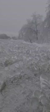 ��� ��������� ������� �� ������ � ���� �����������