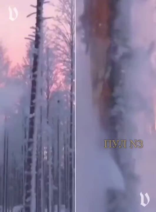 ������������� ����� � ��� ���������� ������� ������������