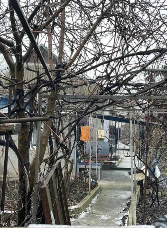 � ��������� � ���������� ������ � ����������� ���� ����� 74-������ �������