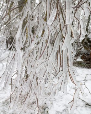 ��������� ��������� �������� ������������ ������������ � ���� ���������