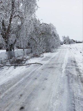 �������� ������� ���� �������-�������