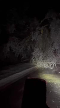 Вчера во второй половине нам стали присылать обледеневшие деревья с севера Приднестровья и Молдовы