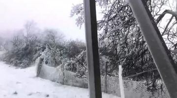 ����� ������ � ��������� ��������� ���������������� ��� �������� ������� �������� ������� ����� ����