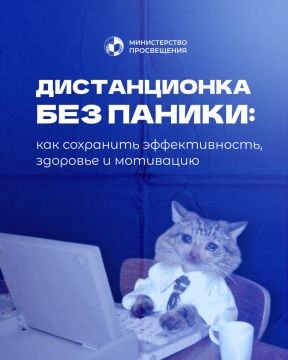 Правильный настрой и распорядок дня - залог успешного обучения дома