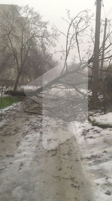 � ���������� �� ������� ������ ����� ��-�� ������ �� �������������������� �����