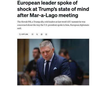 Премьер Словакии Роберт Фицо заявил, что во время встречи с Трампом был обеспокоен его «психологическим состоянием», — Politico со ссылкой на европейских чиновников