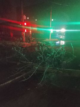 На улице Ленина, 3 в Рыбнице, рядом с больницей, упавшее дерево перекрыло движение