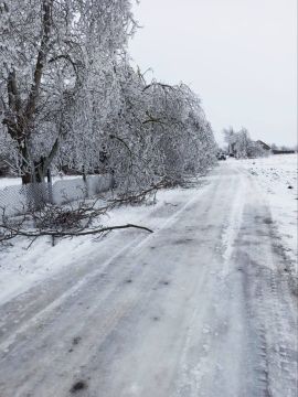 ������� ������� ���������� ���� �������-�������