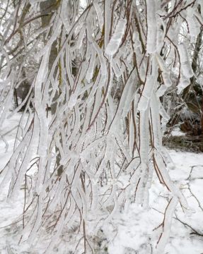 ��������� ��������� �������� ������������ ������������ � ���� ���������