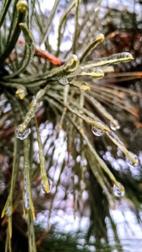 "Ледяные" Дубоссары — красиво, но очень скользко