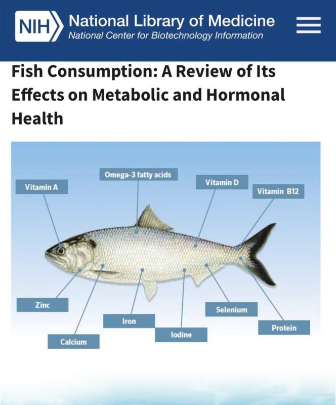 ������������ ����. ����� �� ������� �� ����� ������� � ������������ ����: 30 ������� �������� � ���� ������� ���� ��������-���������� �����������