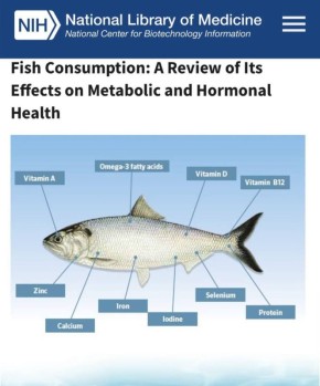 «Потребление рыбы. Обзор ее влияния на обмен веществ и гормональный фон»: 30 граммов скумбрии в день снижают риск сердечно-сосудистых заболеваний