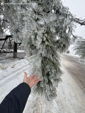 «Деревья в режиме: хрустально красиво»