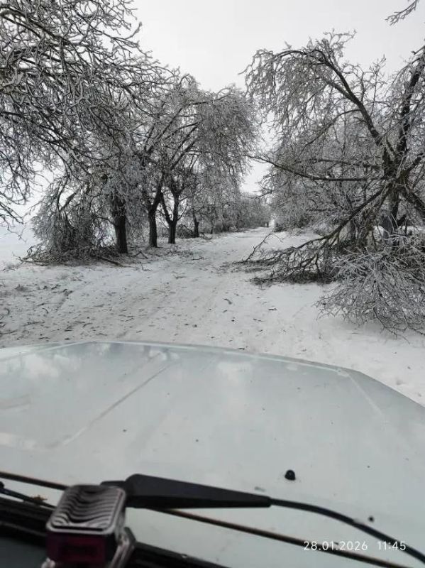 ��������� IDC ���������� ������������� ����������� ��������