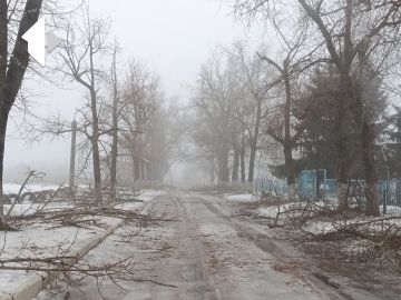 ����� ������ ���������� � �. ����. �������������� ���� ���