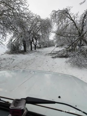 ������ �� IDC �������� ��� ���������� � ������ �������������