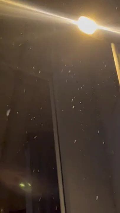 ���� �������� �� ���������