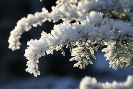 ������� ������� � � ������� ����������� ��� �� ���������� ��������� ������ � �������� ��������� ����� � �������� �� 15 �/�