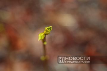 ��������������� ��������. ����� ������ �������� ��������� ����������� � ���������� � �����