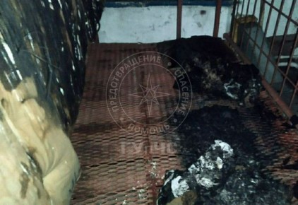 ����� � �������������������� ��������� � ���������: ������������ ����� 80 �������