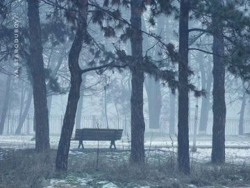 Дубоссары. Зима присела отдохнуть