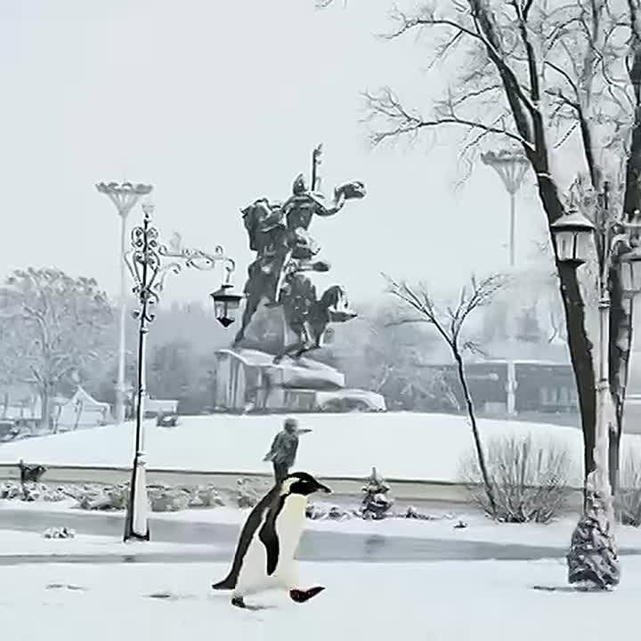 ���� � �������� ����� ���� �� ����������� �����