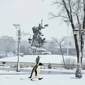 Снег и пингвины будут идти до завтрашнего обеда