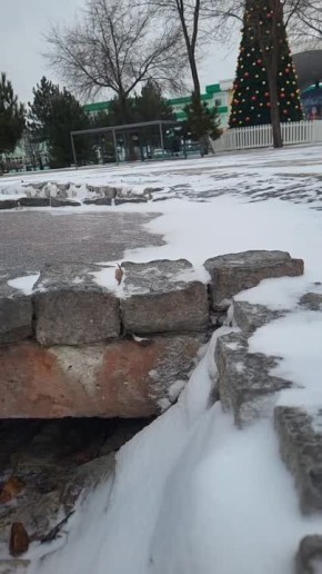 Лёгкий снежок, лёд на озере в Екатерининском парке, тишина и тот самый зимний воздух субботнего утра