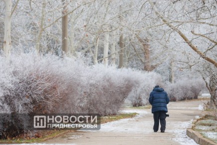 103 человека обратились накануне в травмпункты Приднестровья