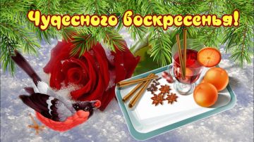 1 февраля – жизнь слишком коротка, чтобы не праздновать