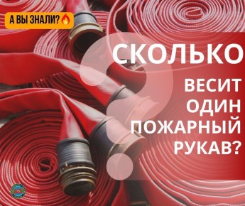 #������������: ������� ����� �������� �����?